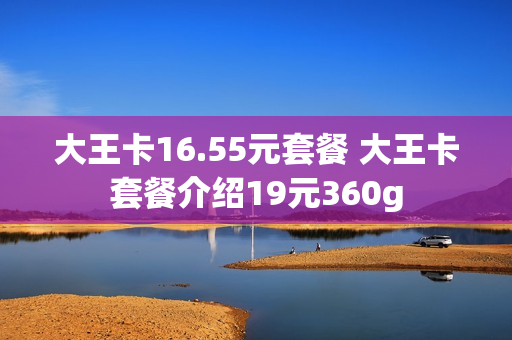 大王卡16.55元套餐 大王卡套餐介绍19元360g