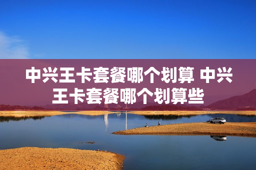 中兴王卡套餐哪个划算 中兴王卡套餐哪个划算些
