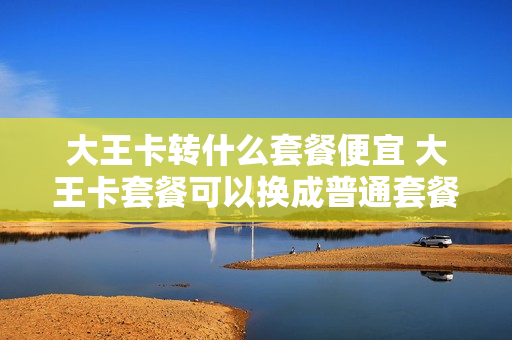 大王卡转什么套餐便宜 大王卡套餐可以换成普通套餐吗