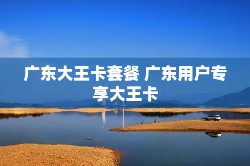 广东大王卡套餐 广东用户专享大王卡