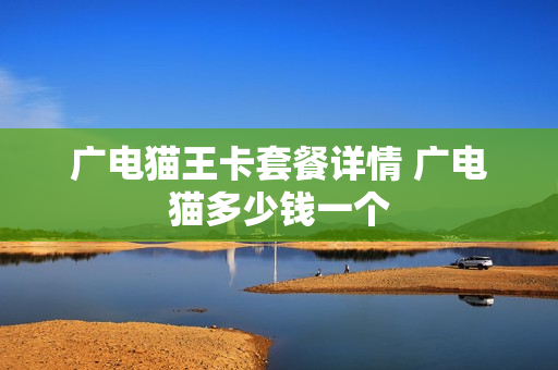 广电猫王卡套餐详情 广电猫多少钱一个