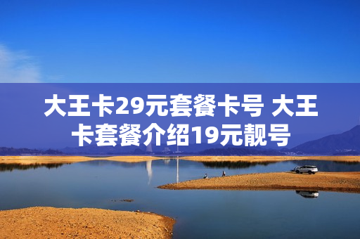 大王卡29元套餐卡号 大王卡套餐介绍19元靓号