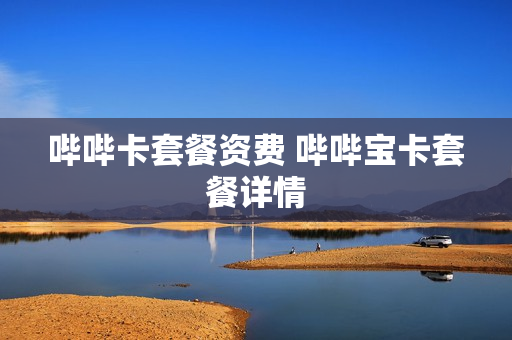 哔哔卡套餐资费 哔哔宝卡套餐详情