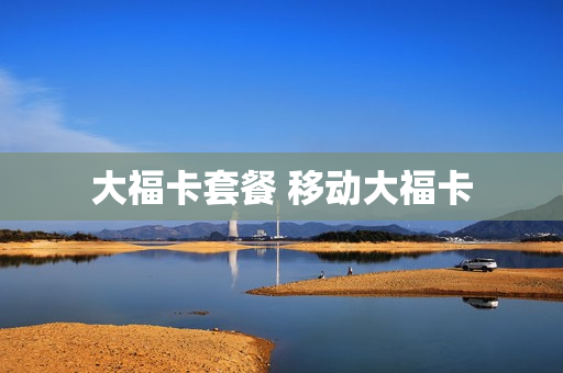 大福卡套餐 移动大福卡