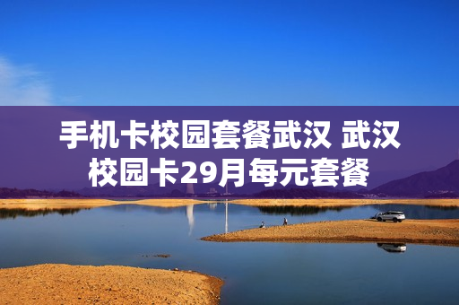 手机卡校园套餐武汉 武汉校园卡29月每元套餐