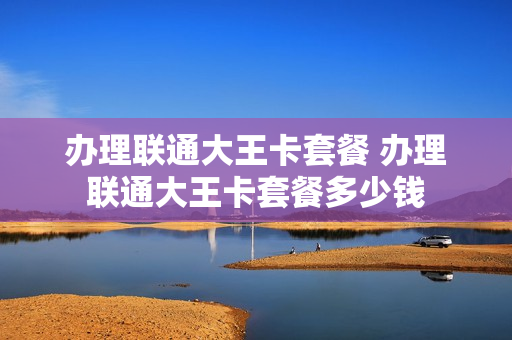 办理联通大王卡套餐 办理联通大王卡套餐多少钱