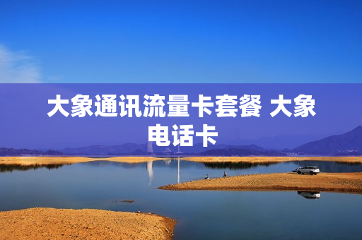 大象通讯流量卡套餐 大象电话卡