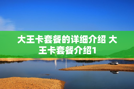 大王卡套餐的详细介绍 大王卡套餐介绍1