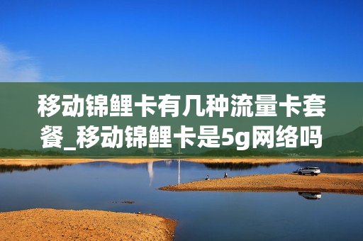 移动锦鲤卡有几种流量卡套餐_移动锦鲤卡是5g网络吗