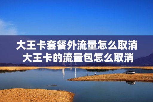大王卡套餐外流量怎么取消 大王卡的流量包怎么取消