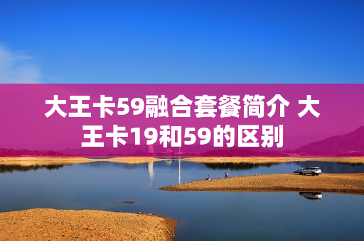 大王卡59融合套餐简介 大王卡19和59的区别