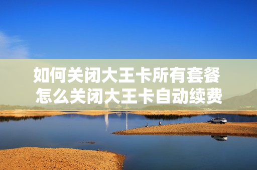 如何关闭大王卡所有套餐 怎么关闭大王卡自动续费