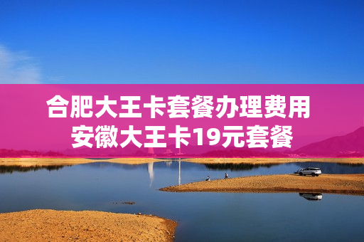 合肥大王卡套餐办理费用 安徽大王卡19元套餐