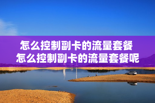 怎么控制副卡的流量套餐 怎么控制副卡的流量套餐呢