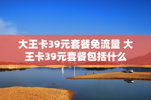 大王卡39元套餐免流量 大王卡39元套餐包括什么