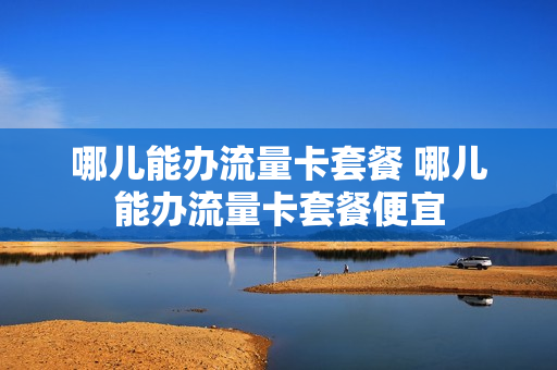 哪儿能办流量卡套餐 哪儿能办流量卡套餐便宜