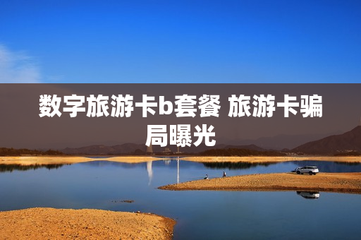 数字旅游卡b套餐 旅游卡骗局曝光