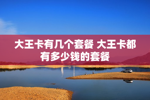 大王卡有几个套餐 大王卡都有多少钱的套餐