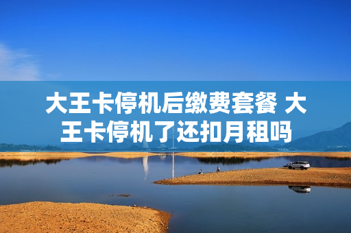 大王卡停机后缴费套餐 大王卡停机了还扣月租吗
