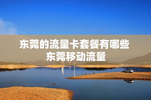 东莞的流量卡套餐有哪些 东莞移动流量