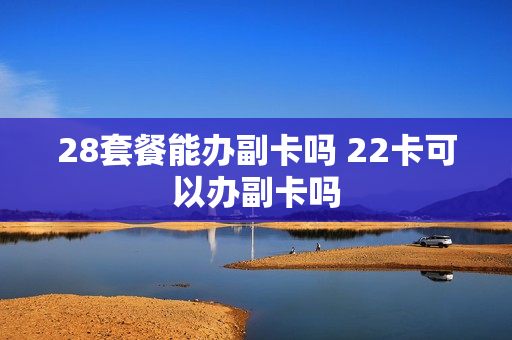 28套餐能办副卡吗 22卡可以办副卡吗