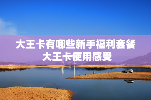 大王卡有哪些新手福利套餐 大王卡使用感受