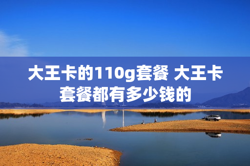 大王卡的110g套餐 大王卡套餐都有多少钱的