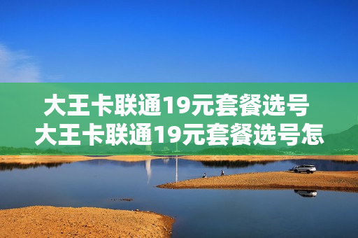大王卡联通19元套餐选号 大王卡联通19元套餐选号怎么选