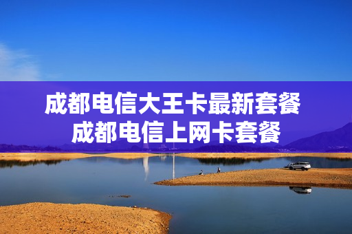成都电信大王卡最新套餐 成都电信上网卡套餐