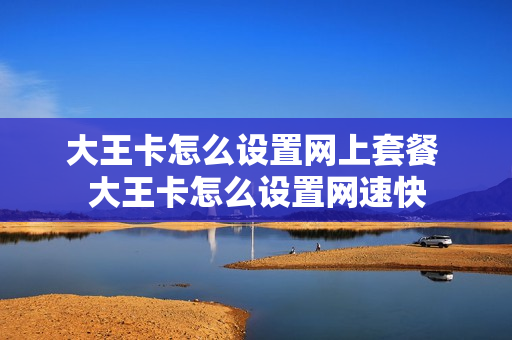 大王卡怎么设置网上套餐 大王卡怎么设置网速快