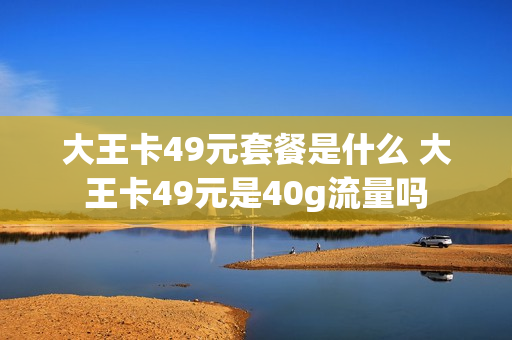 大王卡49元套餐是什么 大王卡49元是40g流量吗