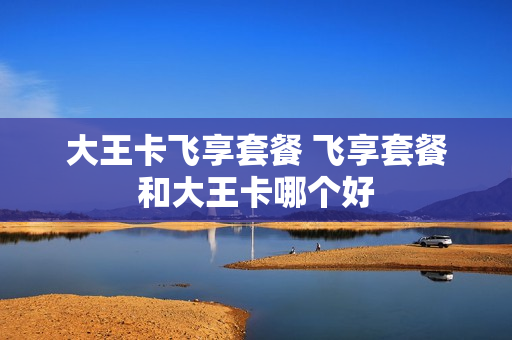 大王卡飞享套餐 飞享套餐和大王卡哪个好