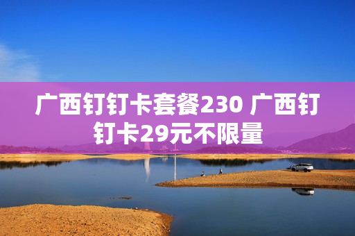 广西钉钉卡套餐230 广西钉钉卡29元不限量