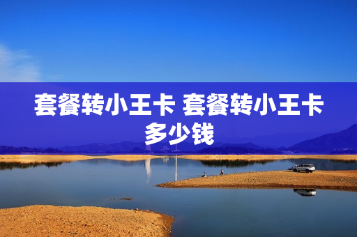套餐转小王卡 套餐转小王卡多少钱