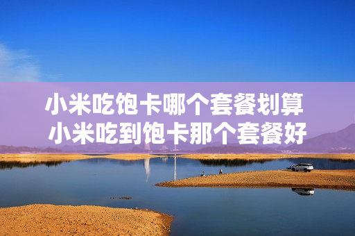 小米吃饱卡哪个套餐划算 小米吃到饱卡那个套餐好