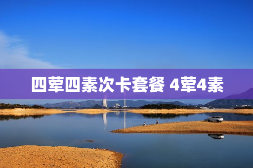 四荤四素次卡套餐 4荤4素