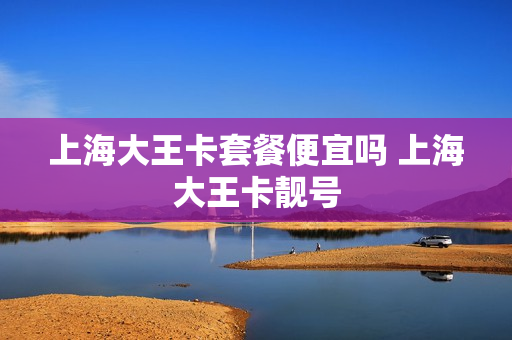 上海大王卡套餐便宜吗 上海大王卡靓号