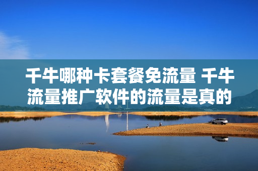 千牛哪种卡套餐免流量 千牛流量推广软件的流量是真的吗