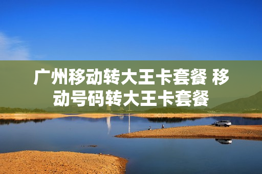 广州移动转大王卡套餐 移动号码转大王卡套餐