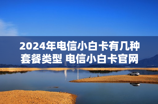 2024年电信小白卡有几种套餐类型 电信小白卡官网