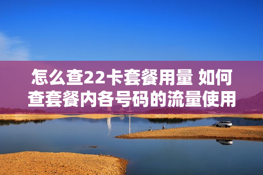 怎么查22卡套餐用量 如何查套餐内各号码的流量使用情况
