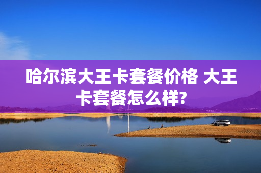 哈尔滨大王卡套餐价格 大王卡套餐怎么样?