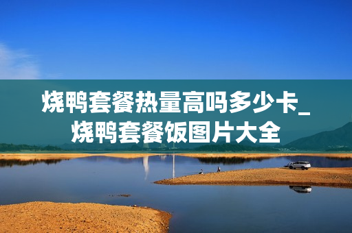 烧鸭套餐热量高吗多少卡_烧鸭套餐饭图片大全
