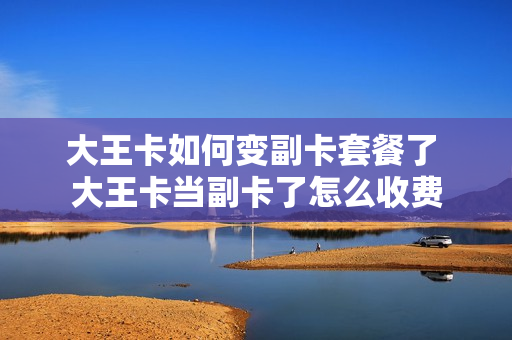 大王卡如何变副卡套餐了 大王卡当副卡了怎么收费
