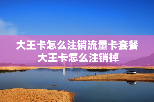 大王卡怎么注销流量卡套餐 大王卡怎么注销掉