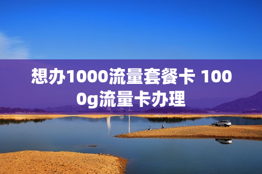 想办1000流量套餐卡 1000g流量卡办理