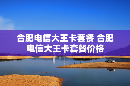 合肥电信大王卡套餐 合肥电信大王卡套餐价格
