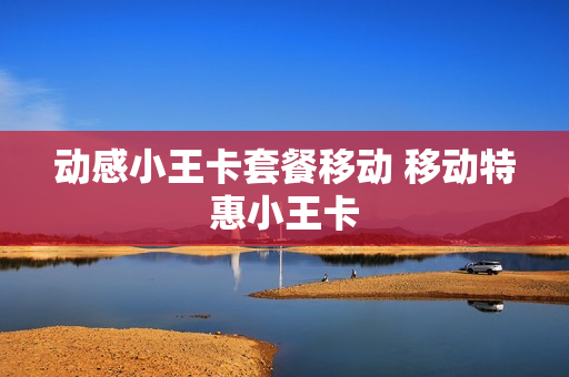 动感小王卡套餐移动 移动特惠小王卡
