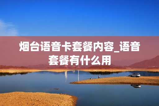 烟台语音卡套餐内容_语音套餐有什么用
