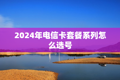 2024年电信卡套餐系列怎么选号